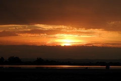 DSCN3621