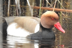 DSCN5322_001
